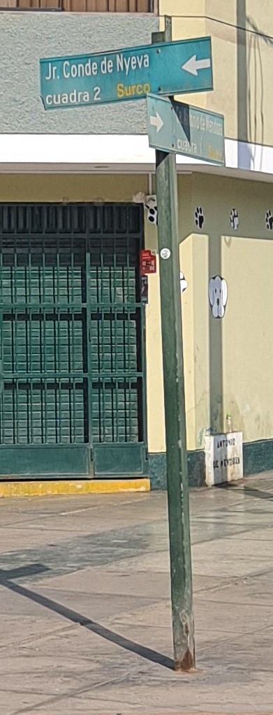 Photo of one way street sign